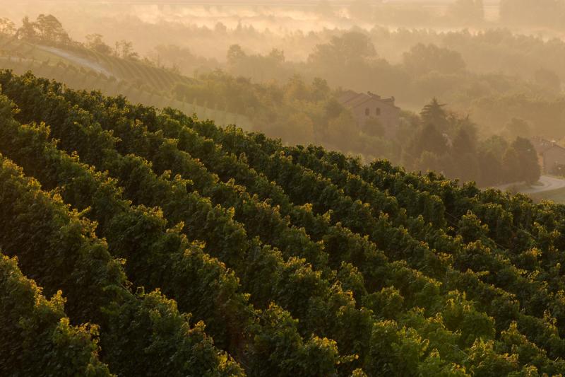 Ein Gespräch mit unserem Partner Olivero Mario, Marchesi Alfieri - Locanda Mistral