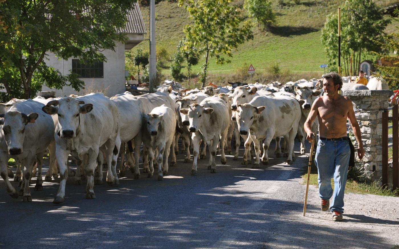 La Valle Maira